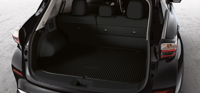 Cargo Area Protector Cargo Area Protector